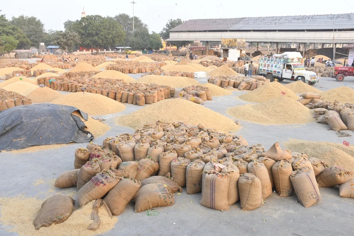 Kota Mandi Bhav : सोयाबीन, सरसों तेज, चना व लहसुन मंदा | Kota Mandi Bhav Soybean And Mustard Price High Gram And Garlic Price Weak
