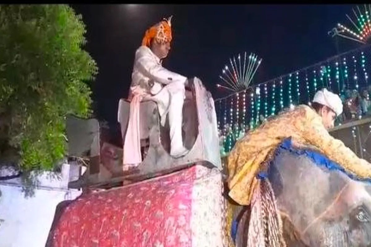 दूल्हा बने सेना के जवान ने 1.80 लाख का हाथी मंगाकर पूरी की तोरण की रस्म | Dulha Bne Sena Ke Jvan Ne 180 Lakh Ka Hathi Mngakr Puri Ki Torn Ki Rsm