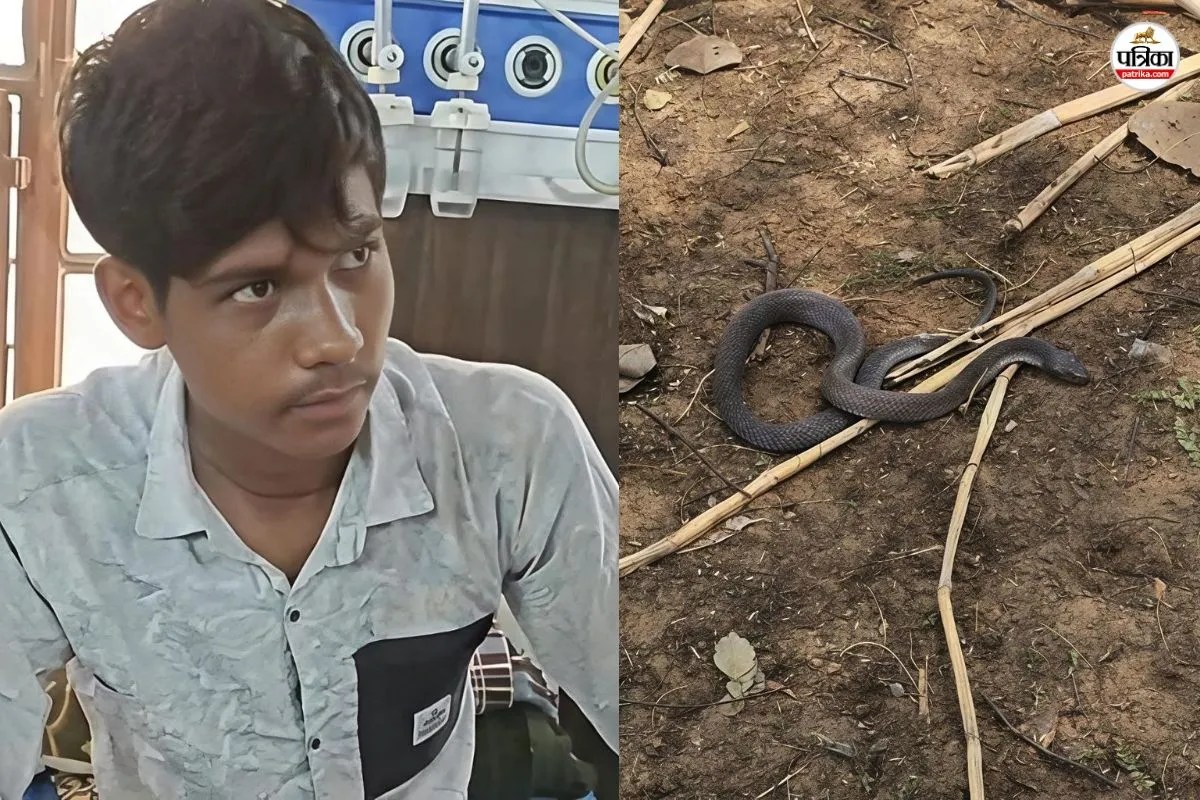 Rajasthan: सोशल मीडिया का जुनून पड़ा भारी, कोबरा संग पोज देते ही सांप ने डसा | Rajasthan Anupgarh Youth Bitten By Cobra While Taking Selfie